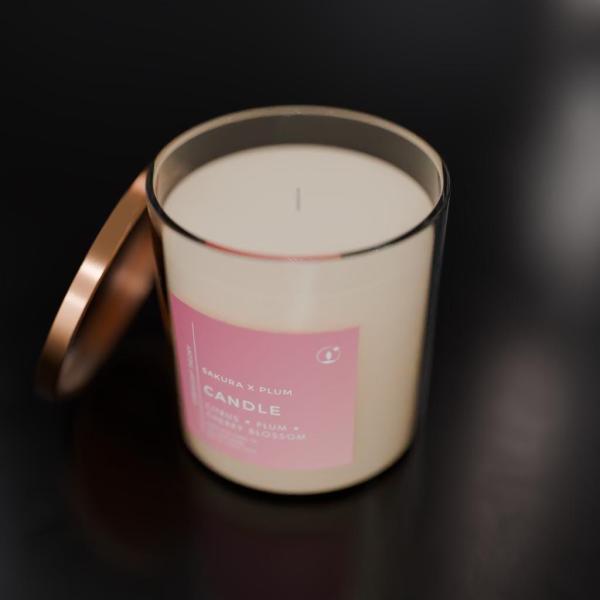 Sakura x Plum - Image 4