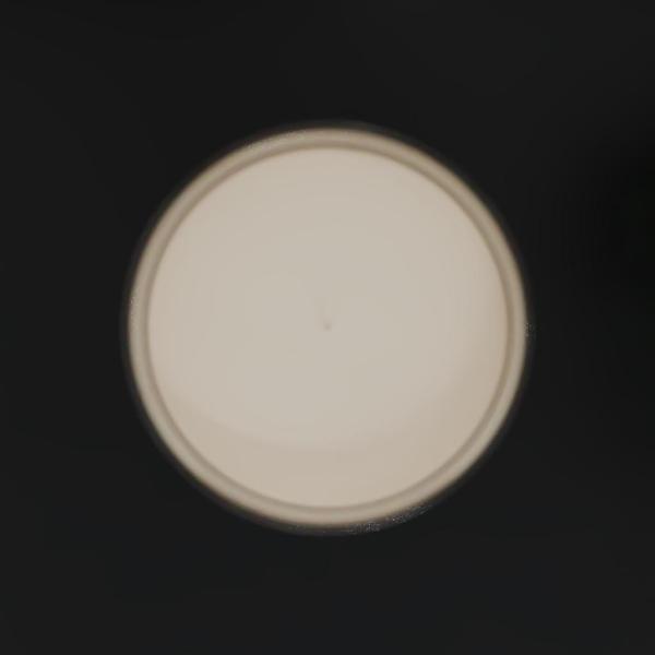 White Currant Jasmine - Image 3