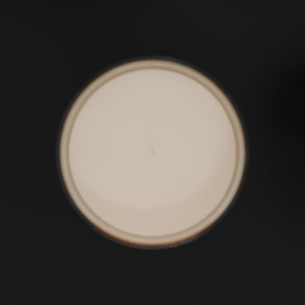 Morning Mimosa - Image 3