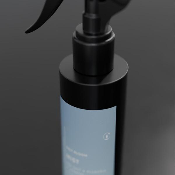 Salt Bloom (4oz) Room Spray - Image 3