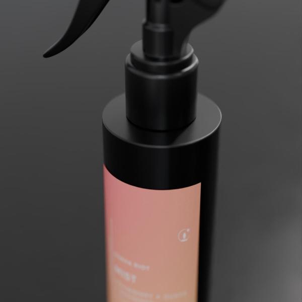 Guava Riot (4oz) Room Spray - Image 3