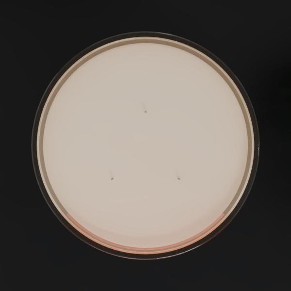 Sakura x Plum - Image 5