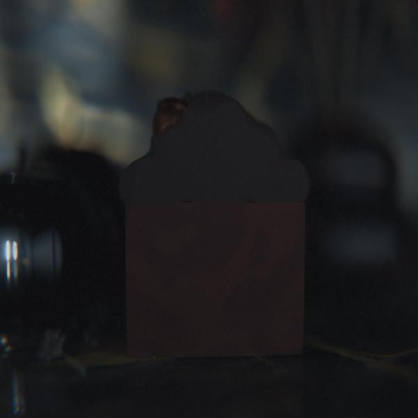 Copperleaf Frosted Top Soap